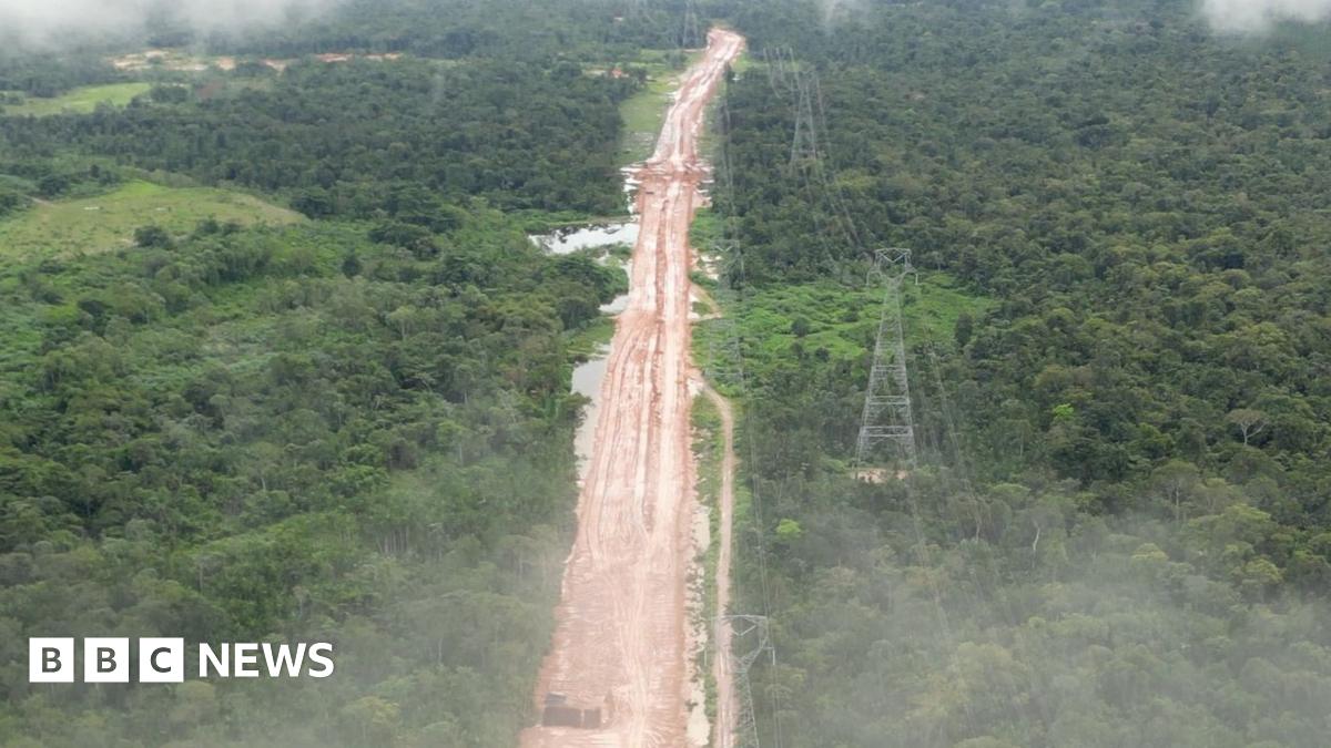 Amazon Highway Project: A Climate Paradox For The COP Summit