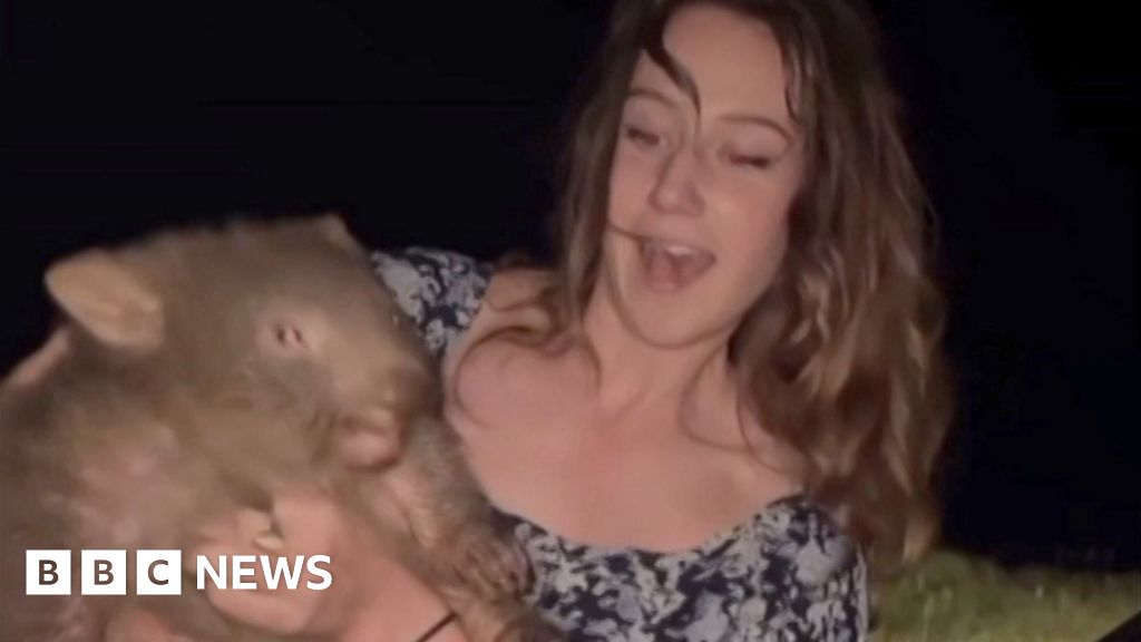 Baby Wombat Photo Leads To Thousands Of Threats Against Sam Jones