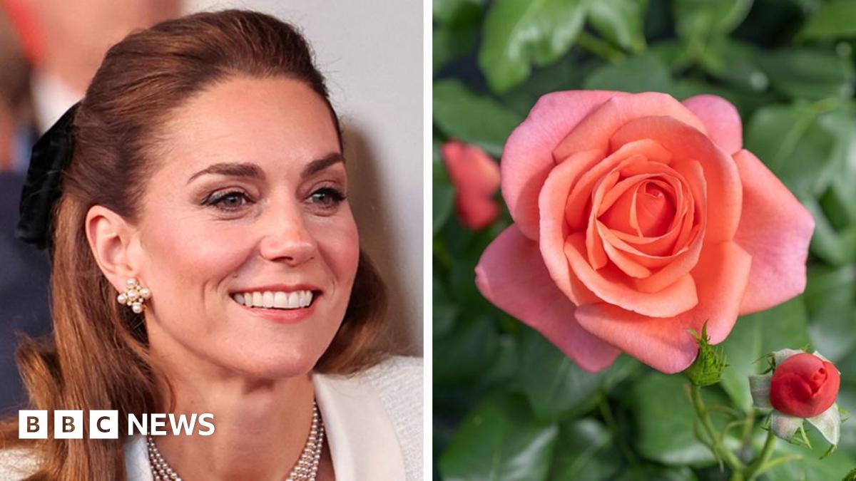 Celebrating Nature: A New Rose Variety Named For The Princess Of Wales Celebrating Nature: A New Rose Variety Named For The Princess Of Wales