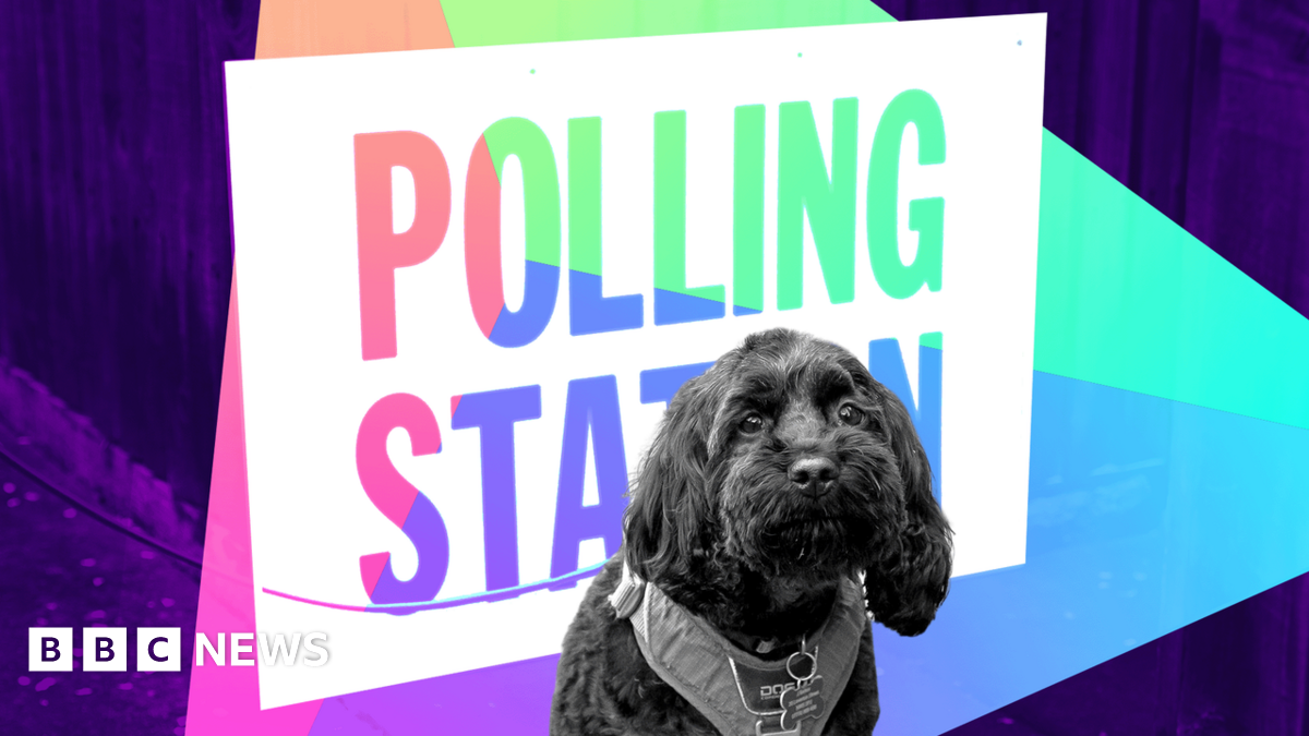 Chris Mason On The Surprising Turnout And Results Of Local Elections Chris Mason On The Surprising Turnout And Results Of Local Elections