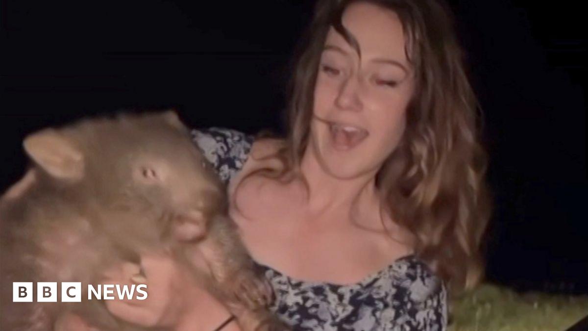 Holding A Wombat: The Story Behind Sam Jones's Death Threats