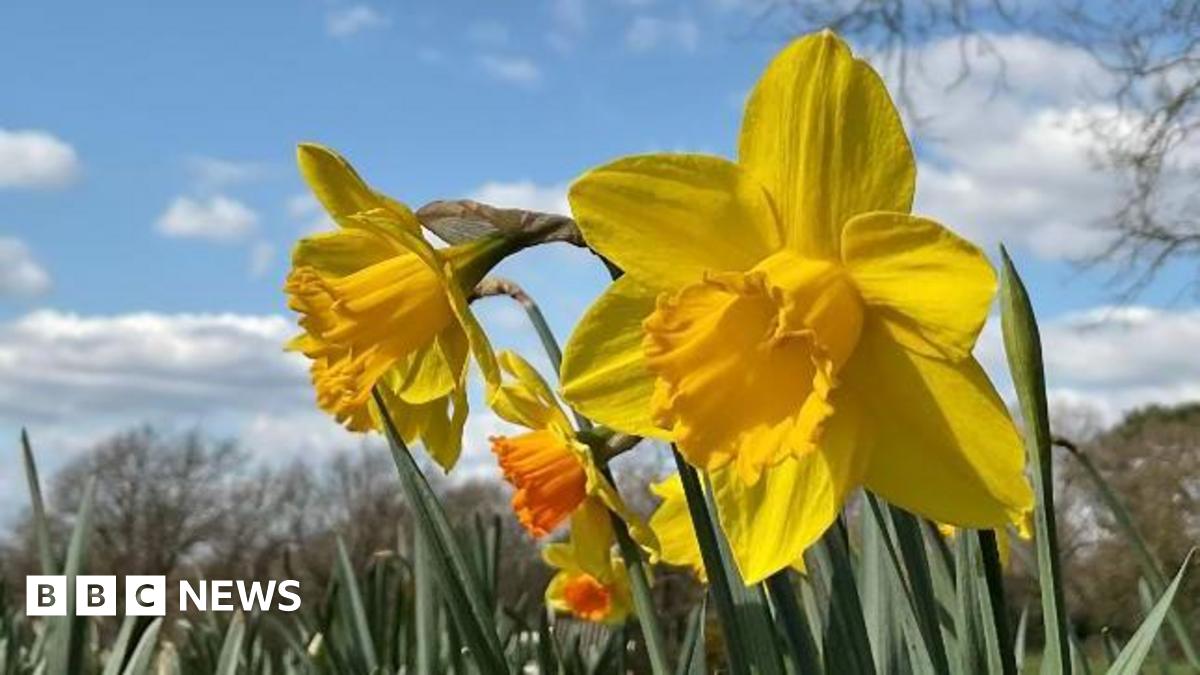 Warm Spring Ahead? UK Weather Forecast Predicts Rising Temperatures